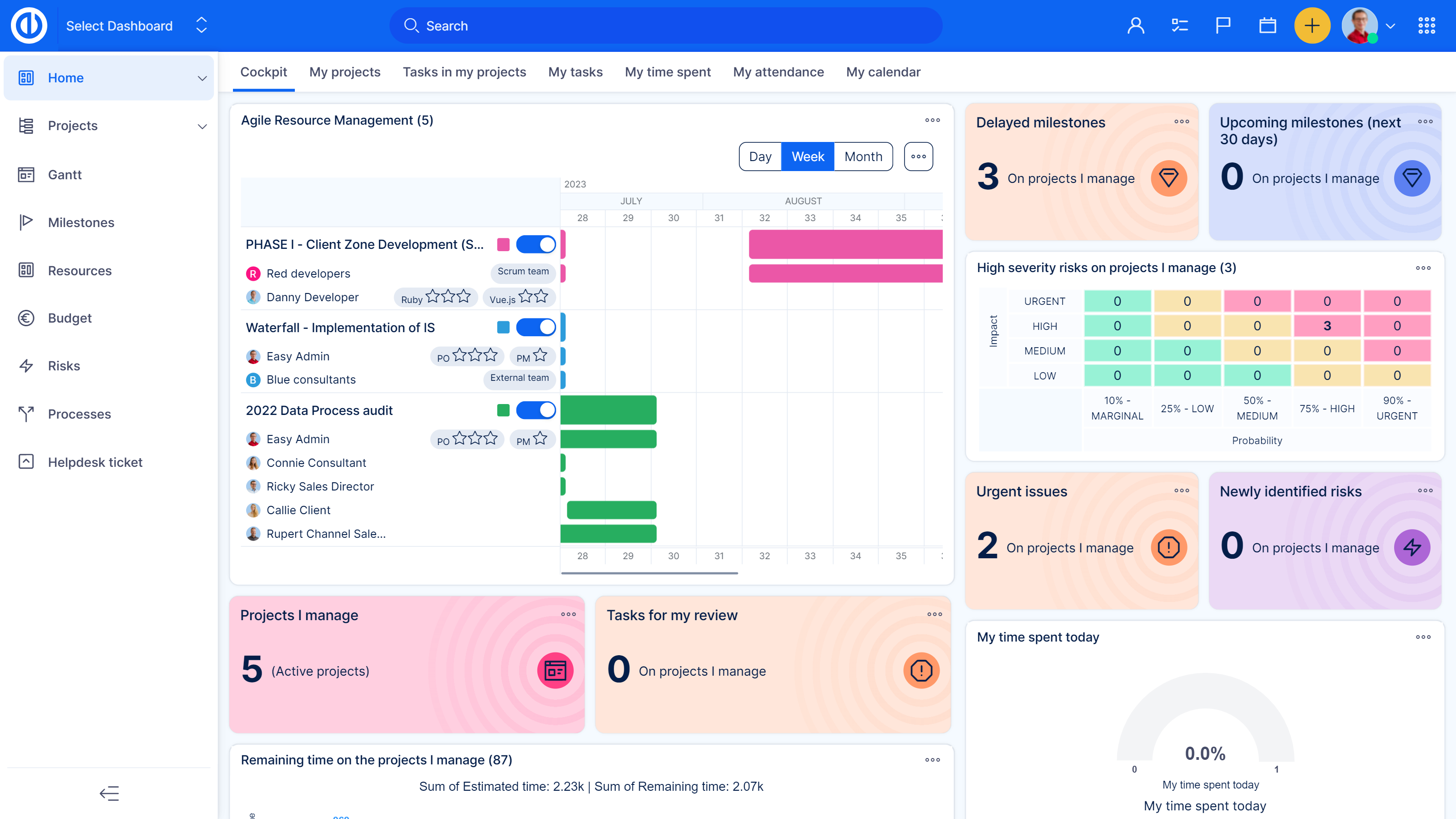 screenshot of Easy Redmine